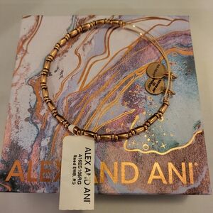 Alex and Ani Reed Gold Beaded Bangle Bracelet